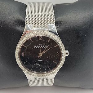SKAGEN Sl630SSSB Women Stainless Steel Mesh Analog Dial Quartz Wrist Watch AM747